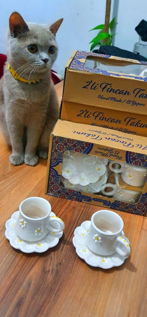 2 Lİ FİNCAN TAKIMI - 4