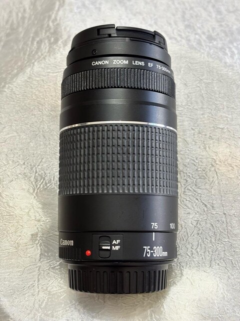 Canon EF 75-300 mm Zoom 1:4-5.6 III Lens