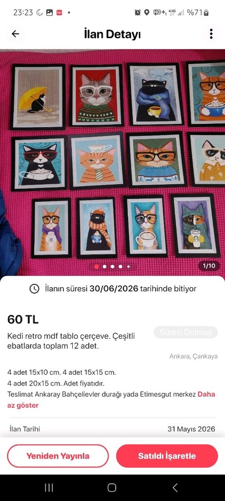 Kedi sırt çantası. Kedi tuvaleti,kedi tarağı. Kedi tablo.Kedi oyuncağı - 12