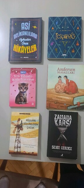 ortaokul seviyesi 6 kitap
