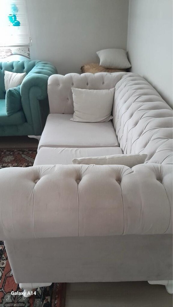 cester koltuk 2 adet tertemiz - 3
