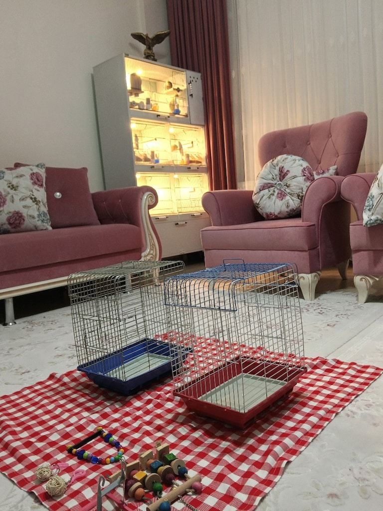 KAFES Toplu Kuş Kafesi Seti + Zengin Oyuncak & Aksesuar Paketi - 5