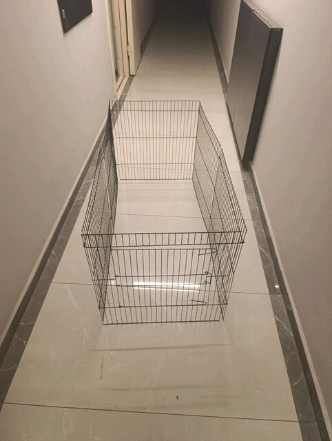KÖPEK ÇİTİ