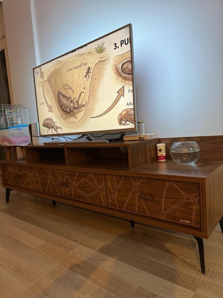 Yemek masası, konsol ve tv ünitesi takımı - 4