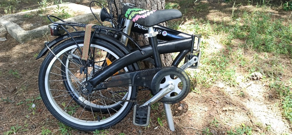 DAHON LİSANSLI Alman PEGASUS 20 JANT KATLANIR GÖBEKTEN 3 VİTES ALÜMİNY - 12