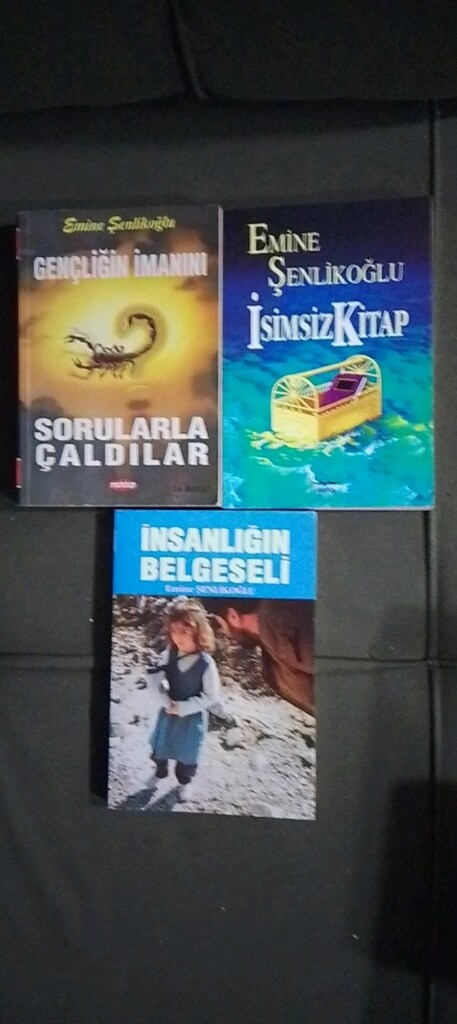 EMİNE ŞENLİKOĞLU KİTAPLARI - 7