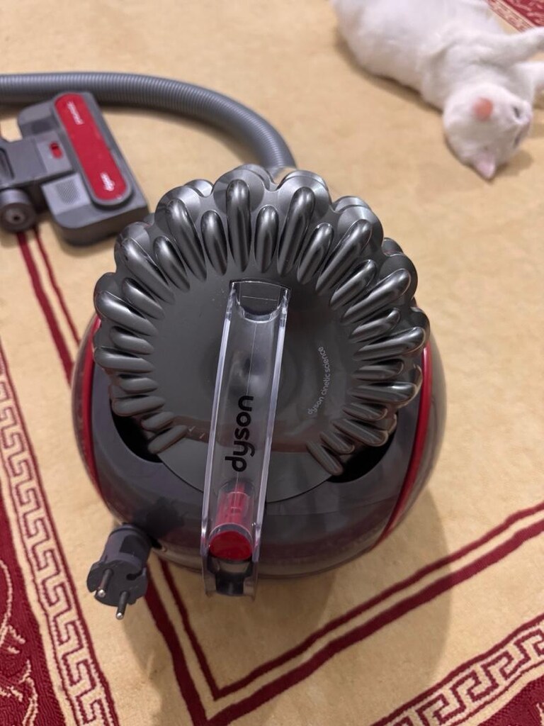 Dyson Cinetic Big Ball Absolute 2 - 6