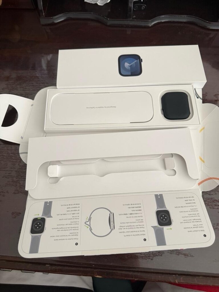 APPLE WATCH GPS 9 45 mm - 8