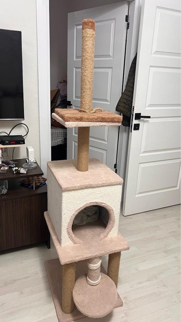 Kedi Evi - 3
