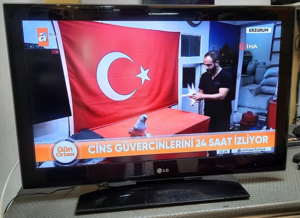 LG 32 İNÇ 82 EKRAN LED TV - 3