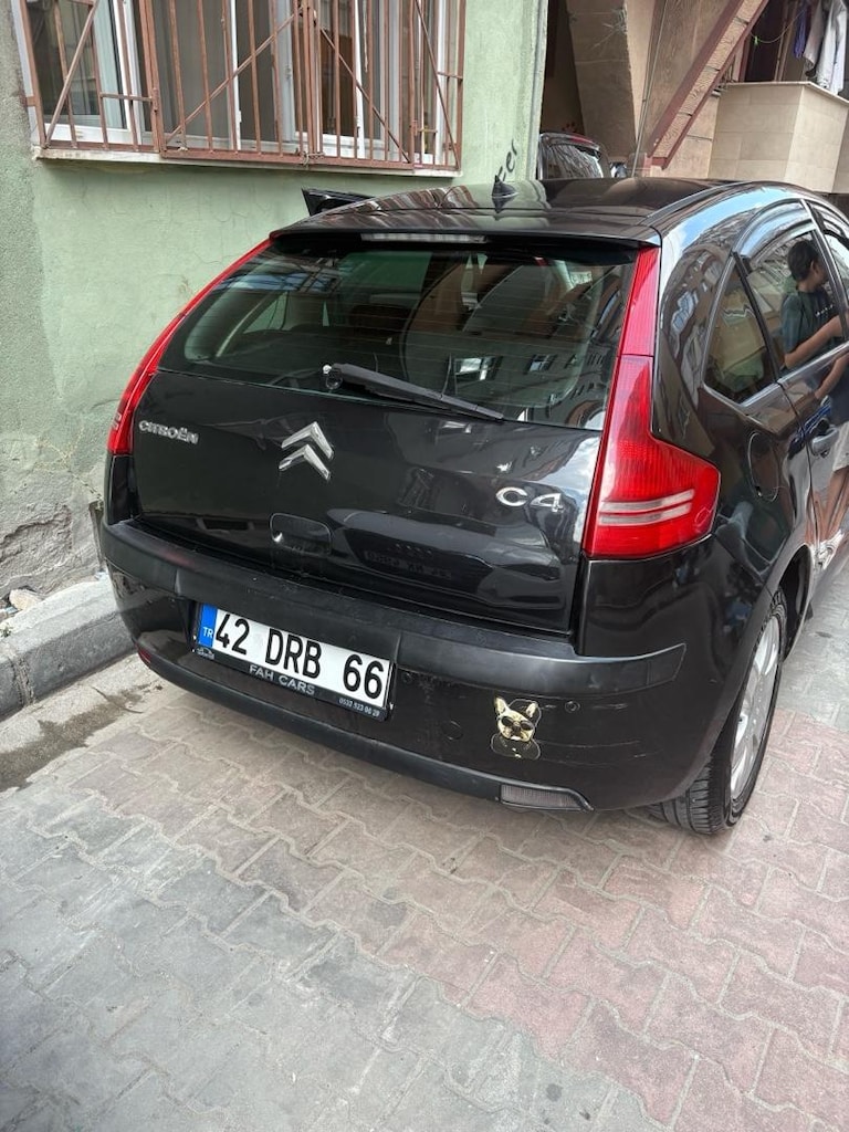 citrion bakımlı 110 hp - 16