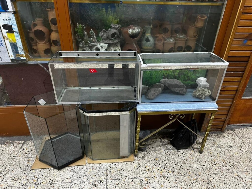 Akvaryum - 5
