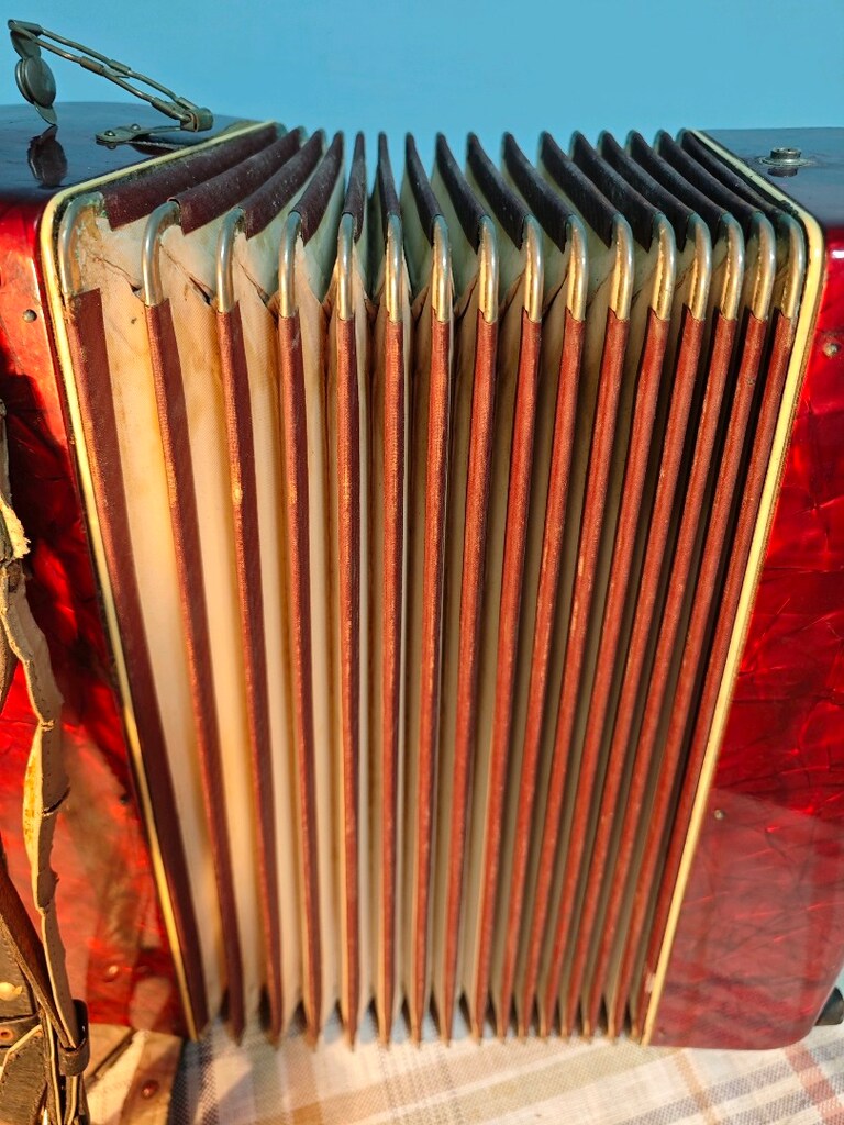 Weltmeister 120 Bass Akordeon - 9