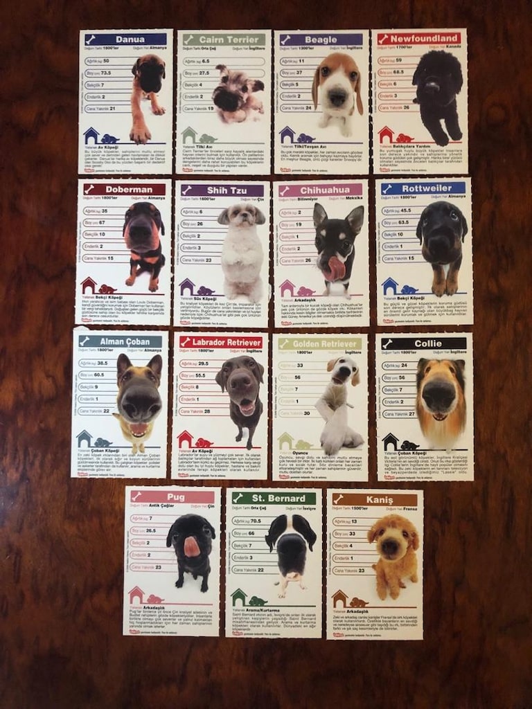 Top Trumps Hasbro Köpekler Kartları - 2
