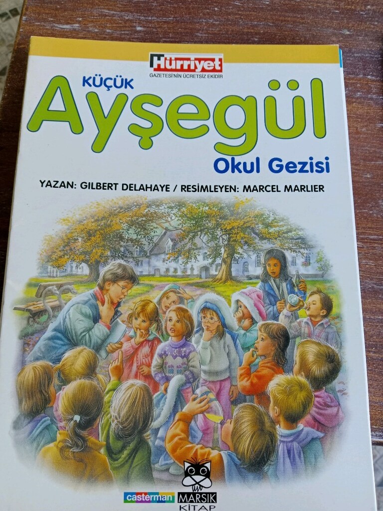 Ayşegül kitapları - 13