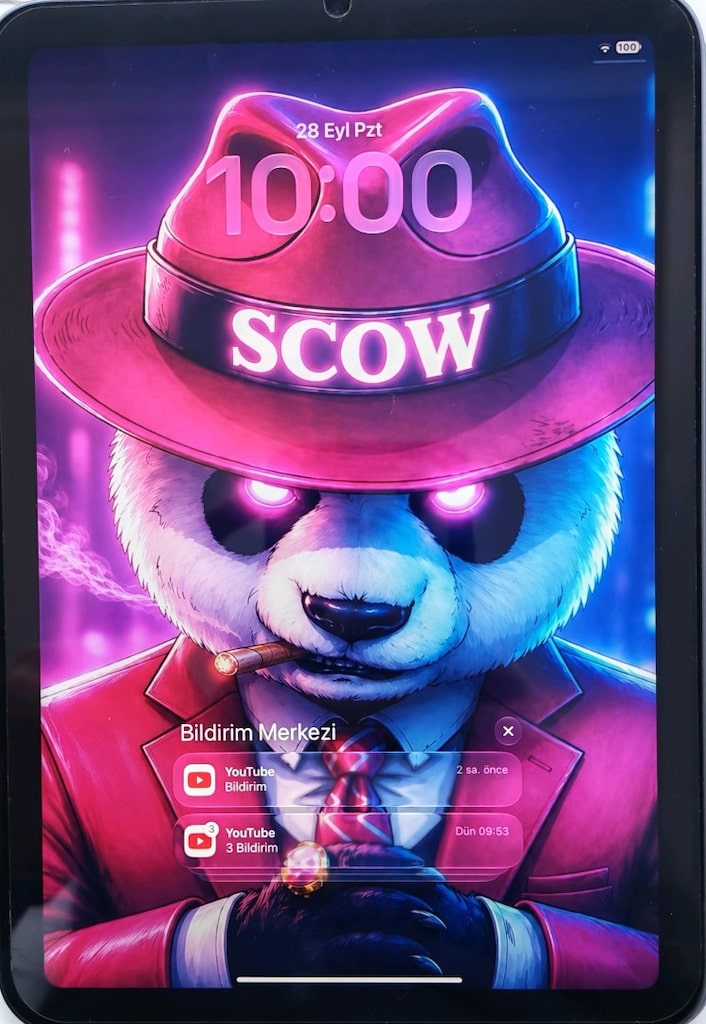 Apple ipad mini 6 - 6