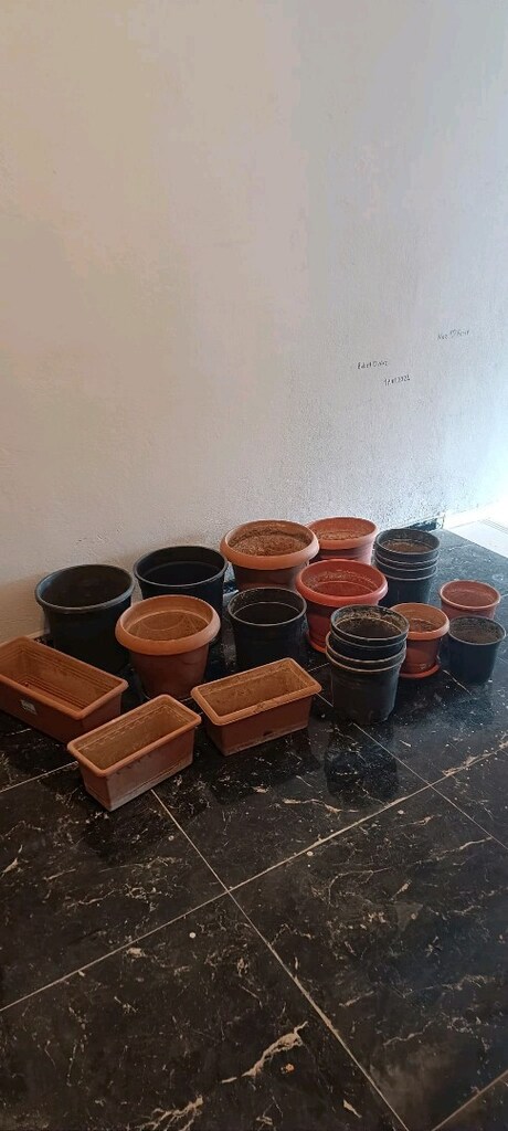 çeşitli saksılar - 2