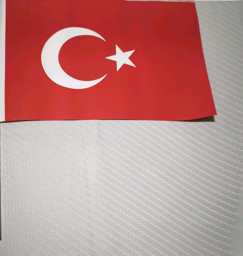 Kağıt Türk Bayrağı saplı 30,5*20,5 cm. - 2
