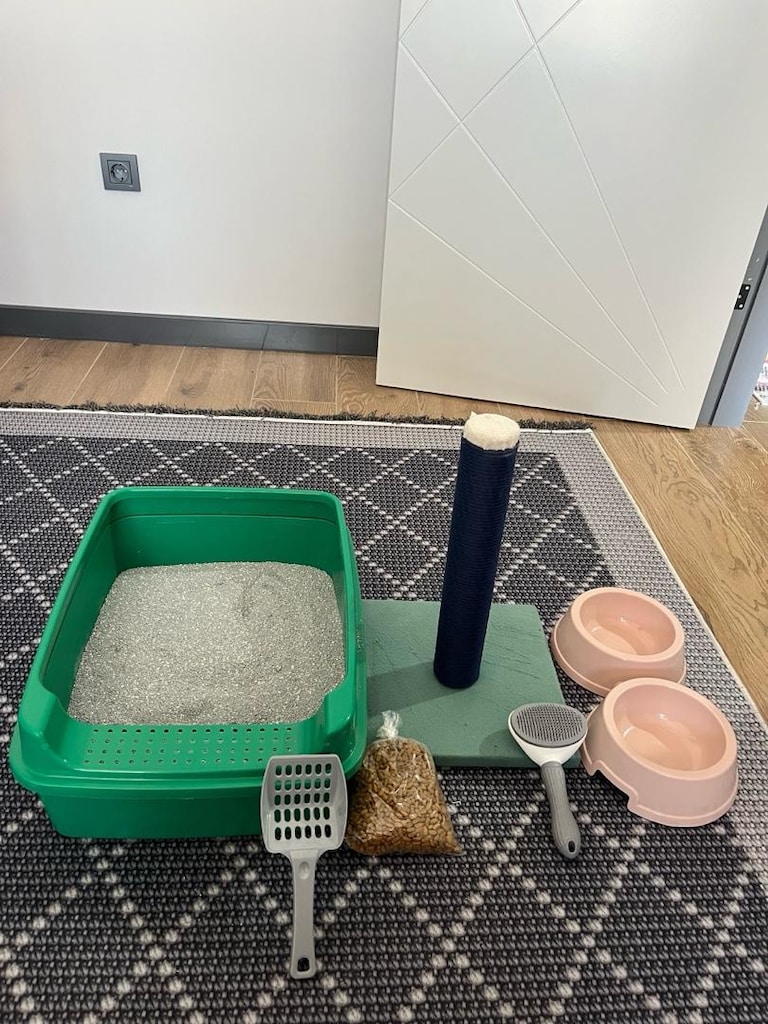 KEDİSİ OLANLARLA MÜJDE!! ŞOK FİYAT!! - 2