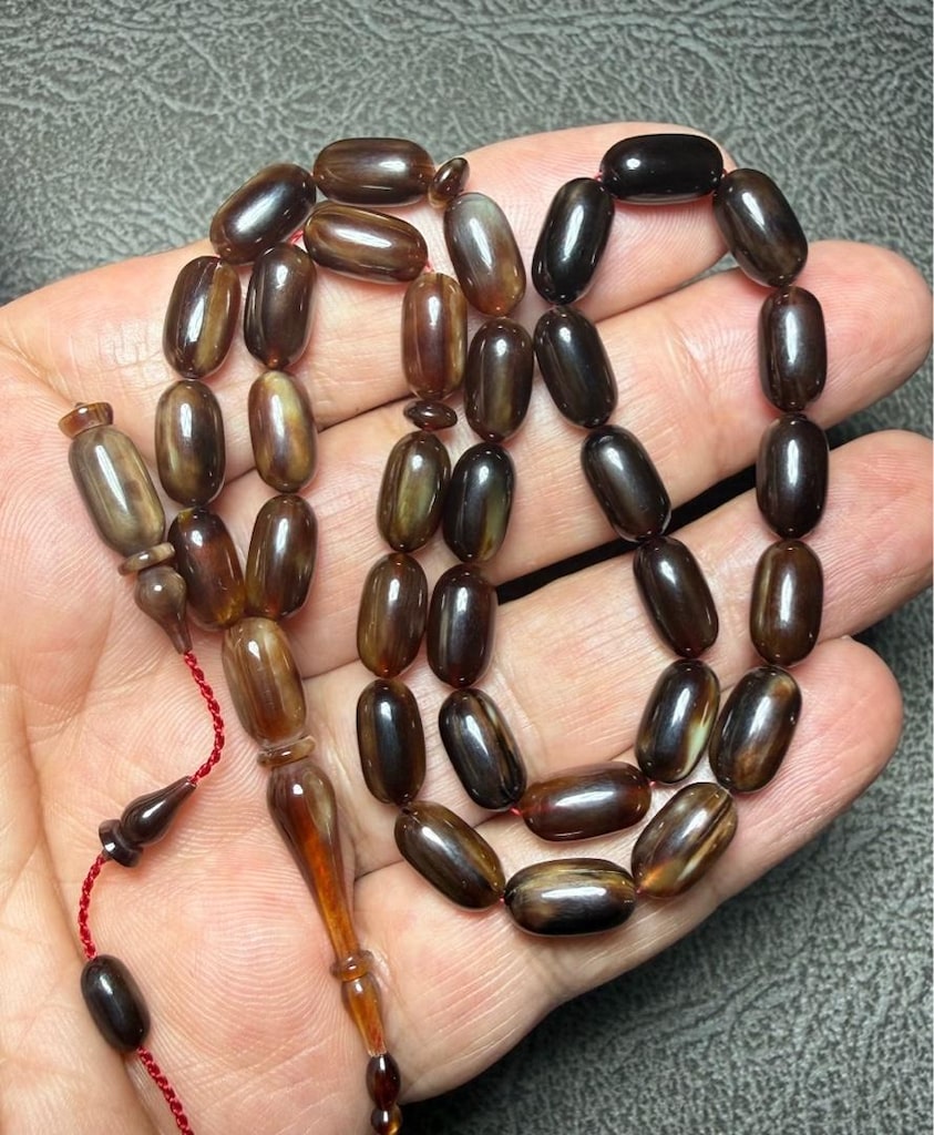 karetta bağa - 3