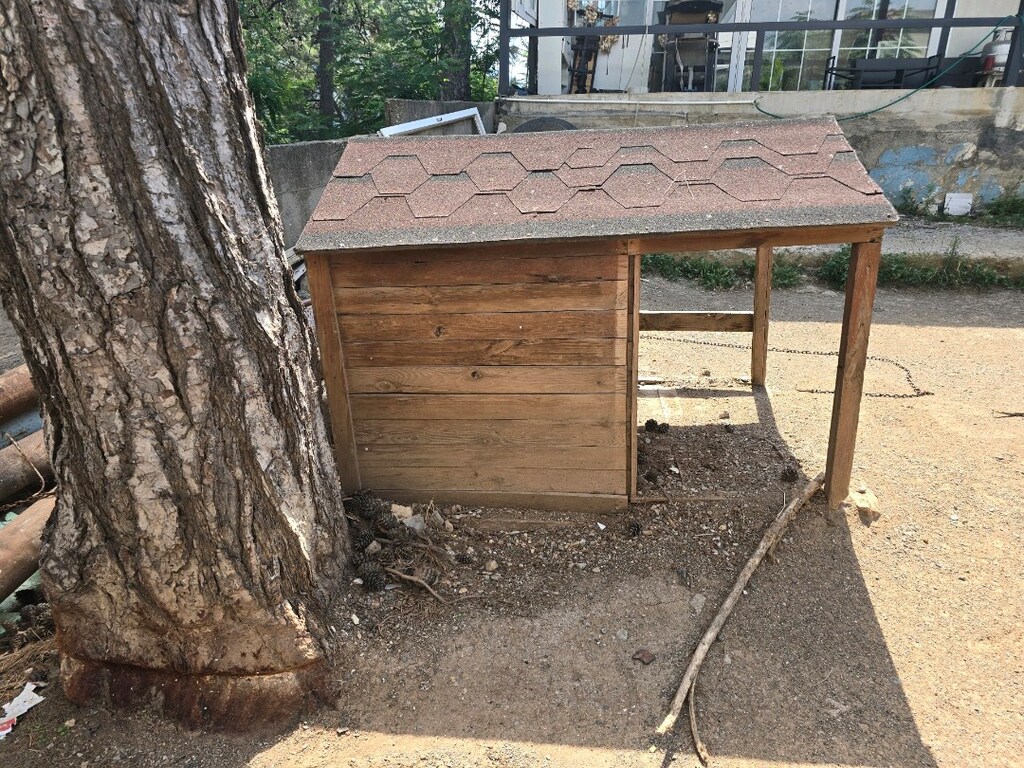 Verandalı Köpek Kulubesi - 4