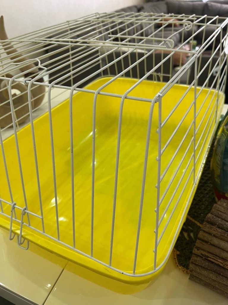 Ginepig ve tavşan kafesi boyutu 60x35 - 2