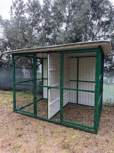 Köpek kafesi