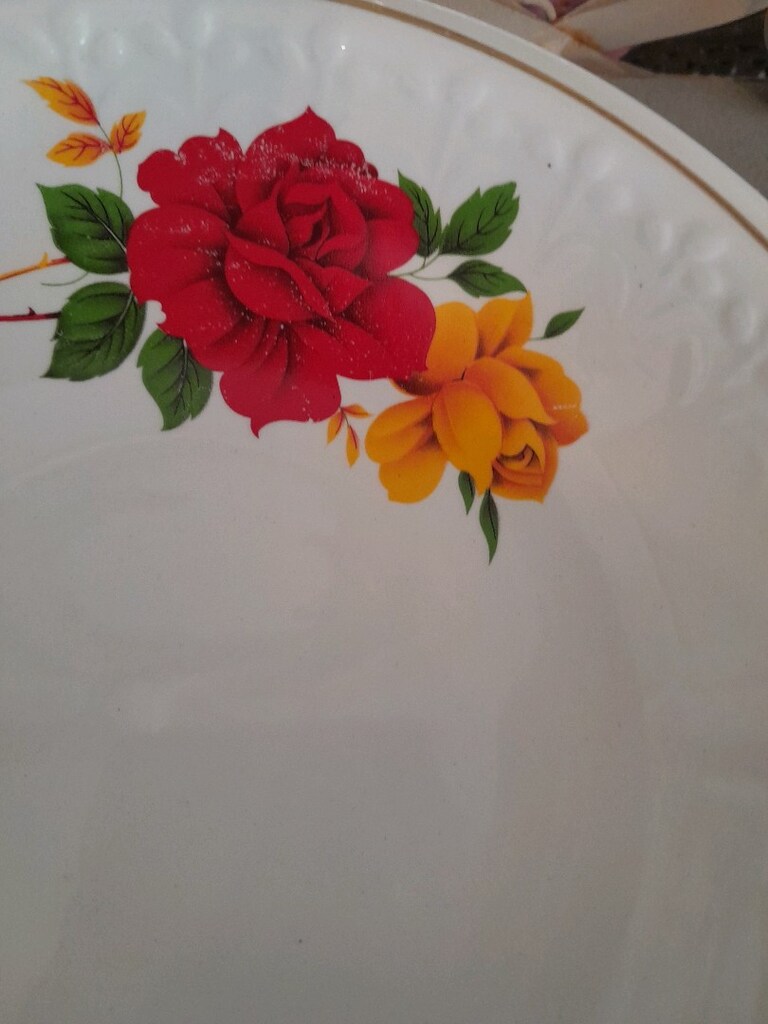porselen çukur servis tabakları - 3