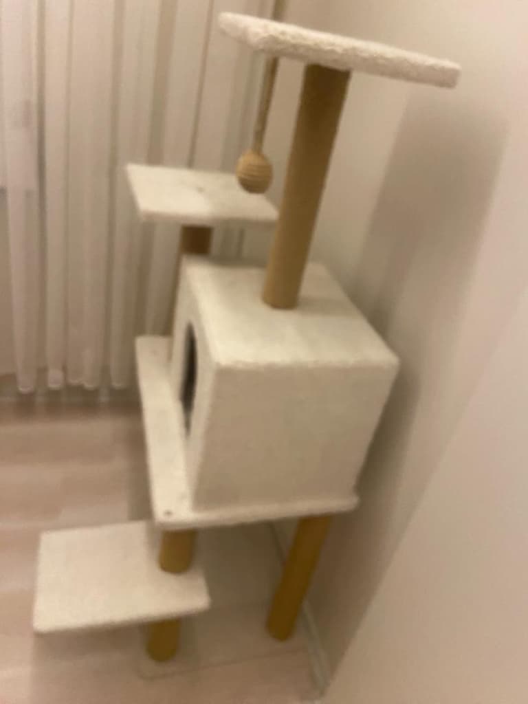 Kedi Evi - 3