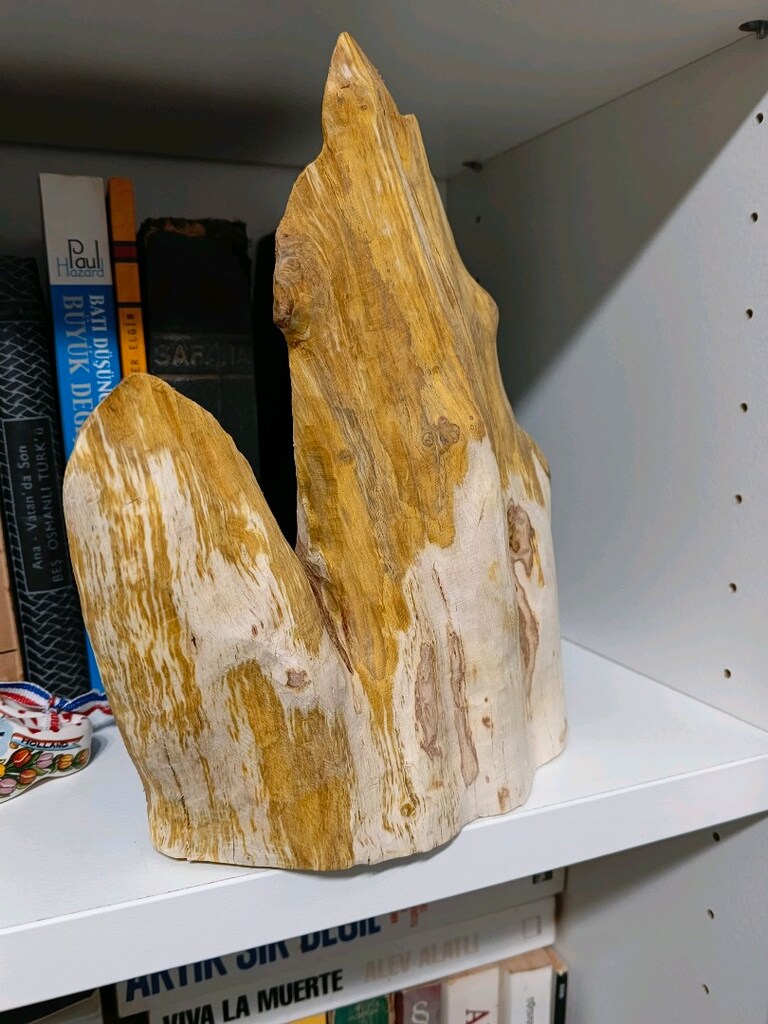 Ağaç ham Biblo - 2
