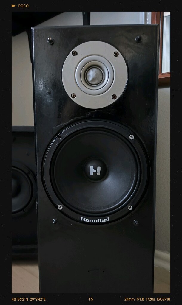 Mid Range Çıplak Hoperlör 100w 100rms Oto hoperlör - 4