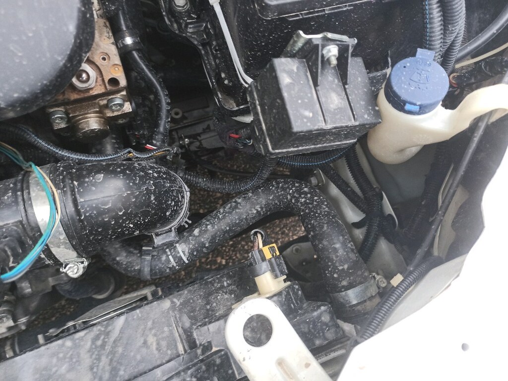 2010 model sıfır motor lu linea - 5