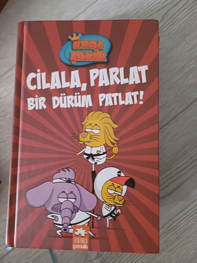 kral şakir kitap - 17