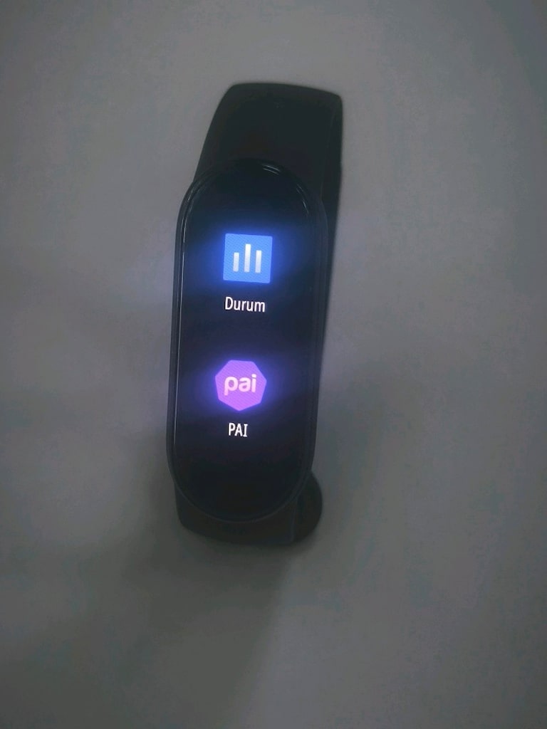 Mi Smart Band 6