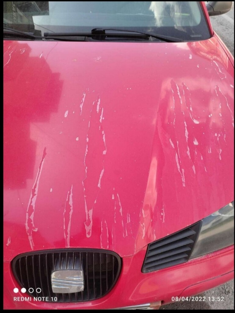 2005 seat Ibiza 223 km tek değişen - 7