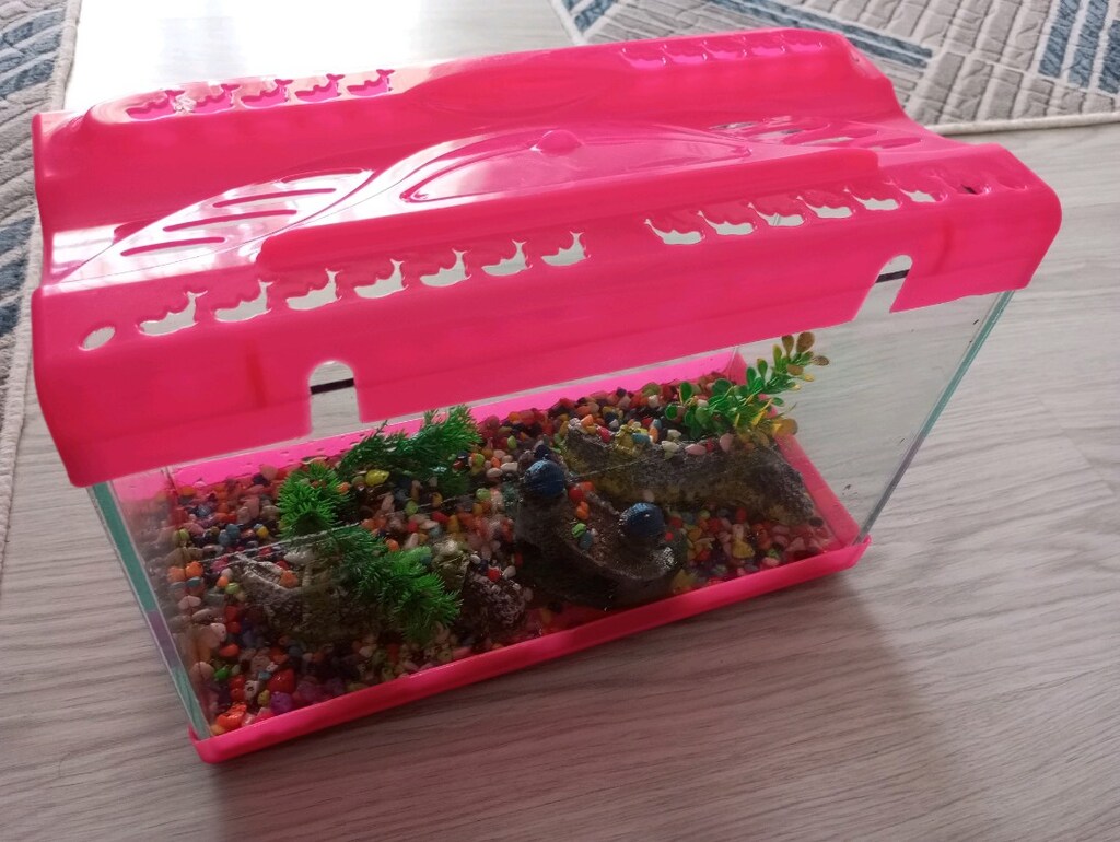 34_15 cm ölçülerinde akvaryum - 2