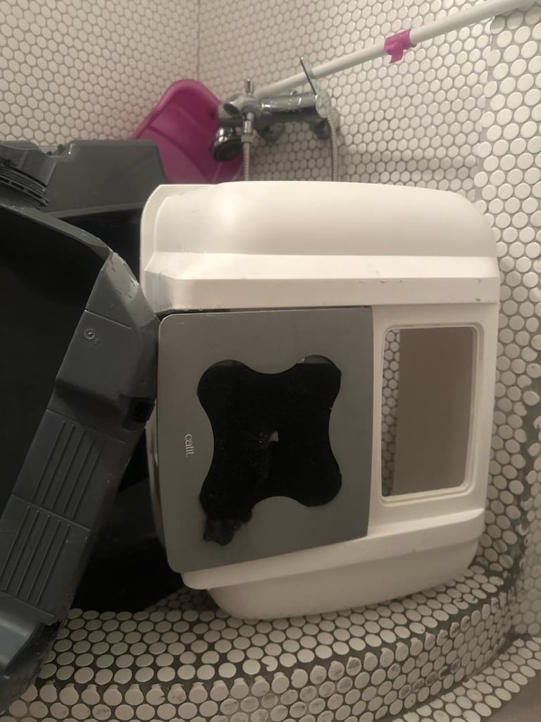 cattit yarı otomatik kedi tuvaleti - 3