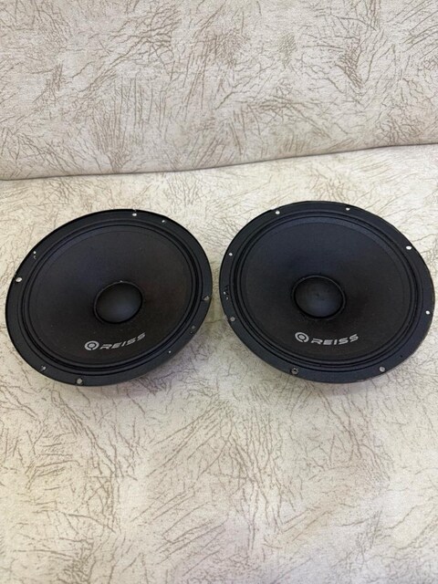 Reiss 20 cm midrange