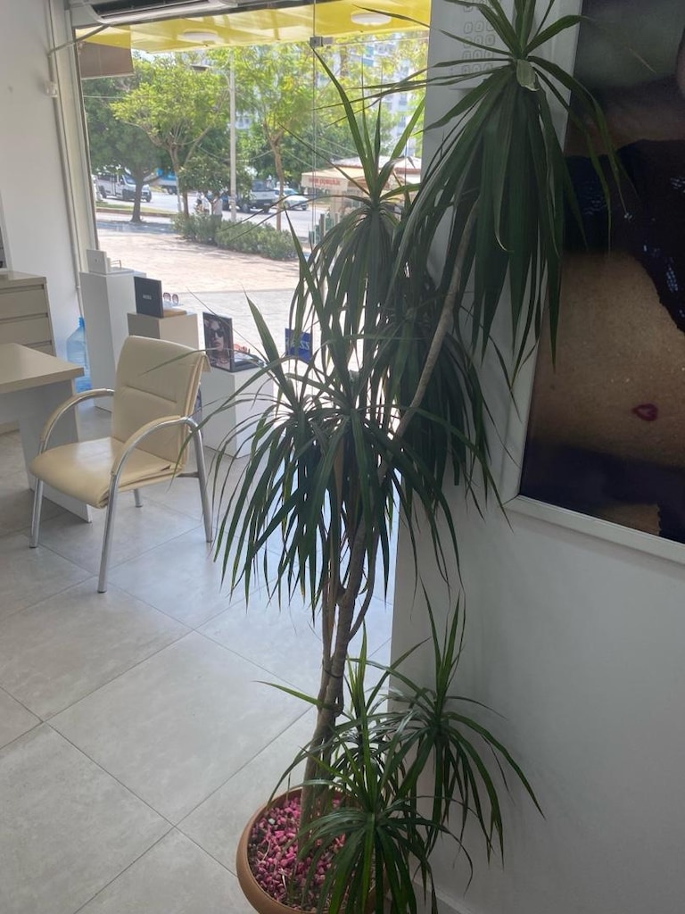 salon saksı - 2