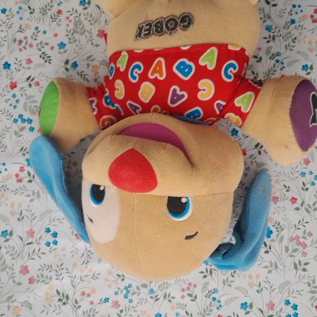 fisher price eğitici köpek - 4