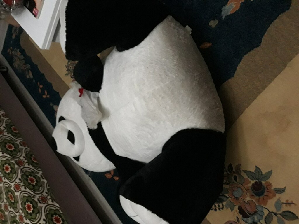 büyük panda ayı adres İstanbul Maltepe Fındıklı mahallesi - 8