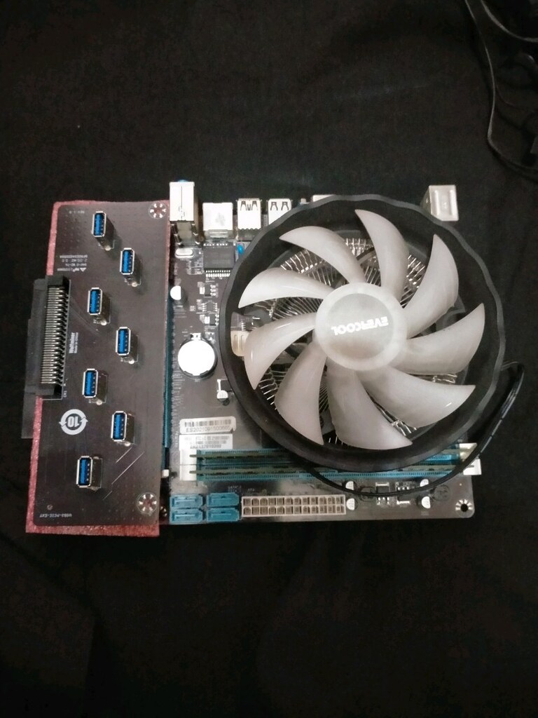 fan - 2