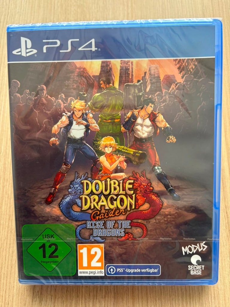 Double Dragon Gaider PS4 Oyun