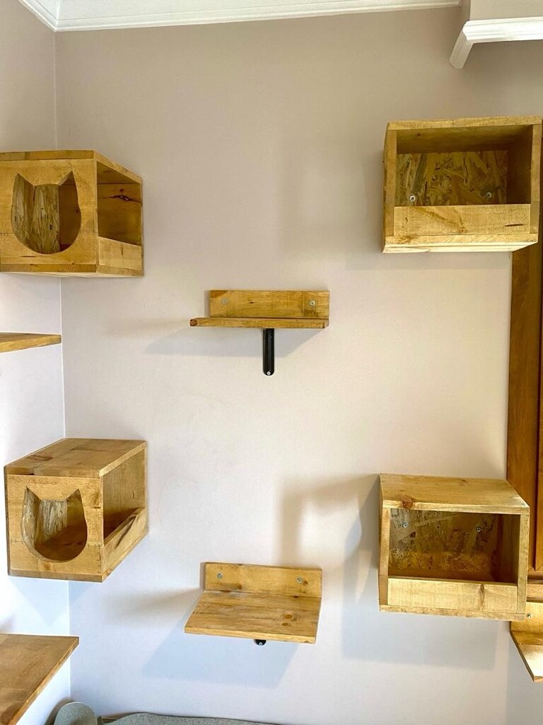 kedi platformu - 4