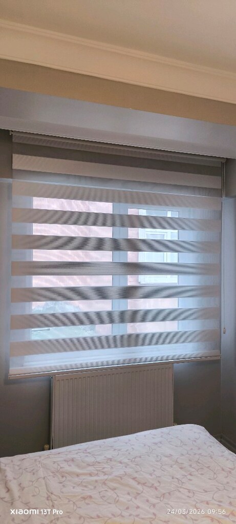 zebra stor - 4