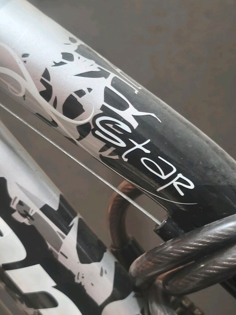 Bianchi Star - 24 jant - 21 vites - Dağ Bisikleti - 12