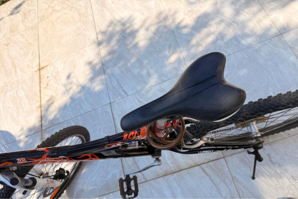 bianchi scorpion temiz alıcısını üzmez - 3