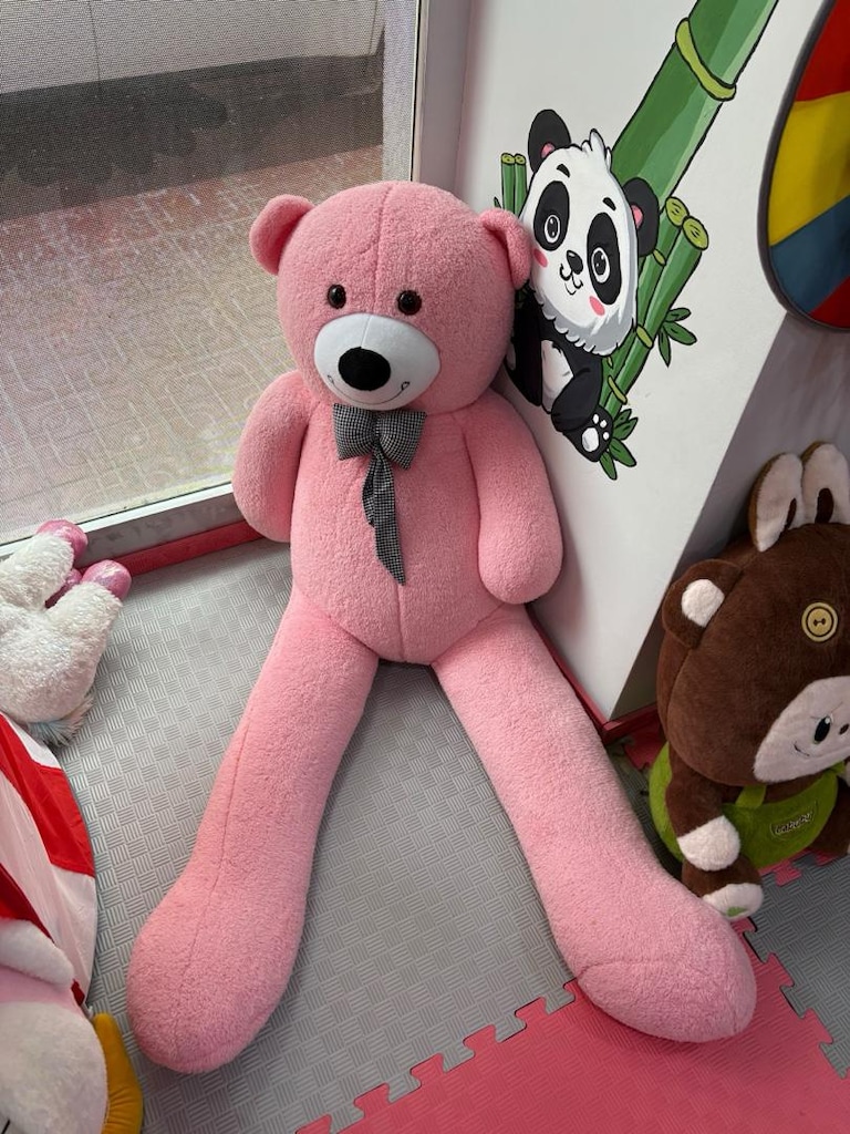 Pembe Peluş Ayı - 2