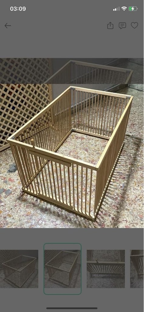 KÖPEK-KEDİ ÇİTİ - 2