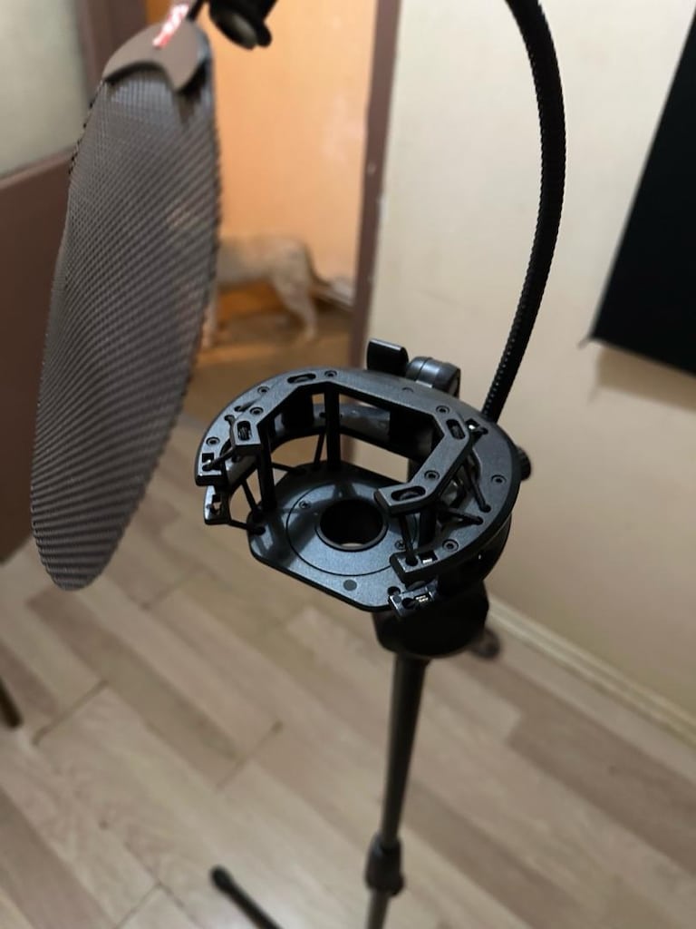 Lewitt LCT 440 Pure (Çok Temiz)+ Manyetik Pop Filter & Mikofon standı - 3